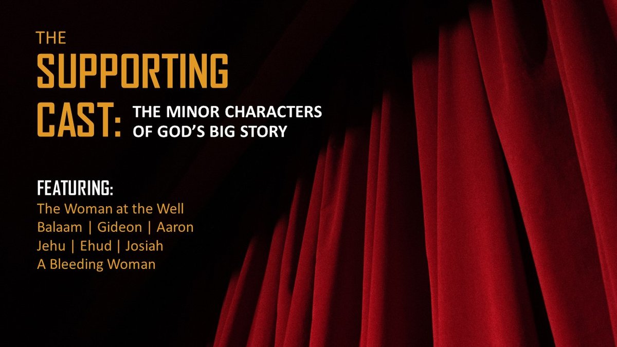 Supporting Cast Spotlights & Guest Appearances Who Stole The Show